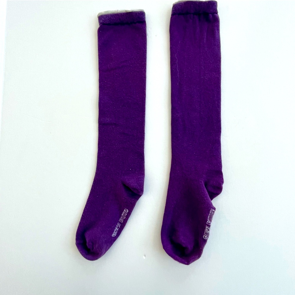 Chinese Laundry Knee High Boot Socks Purple and Gray
